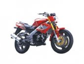 2011 Eagle-Wing DB300 Naked photo
